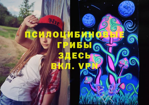 не бодяженный Аркадак