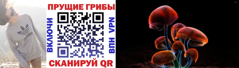 Псилоцибиновые грибы мицелий  Пудож 